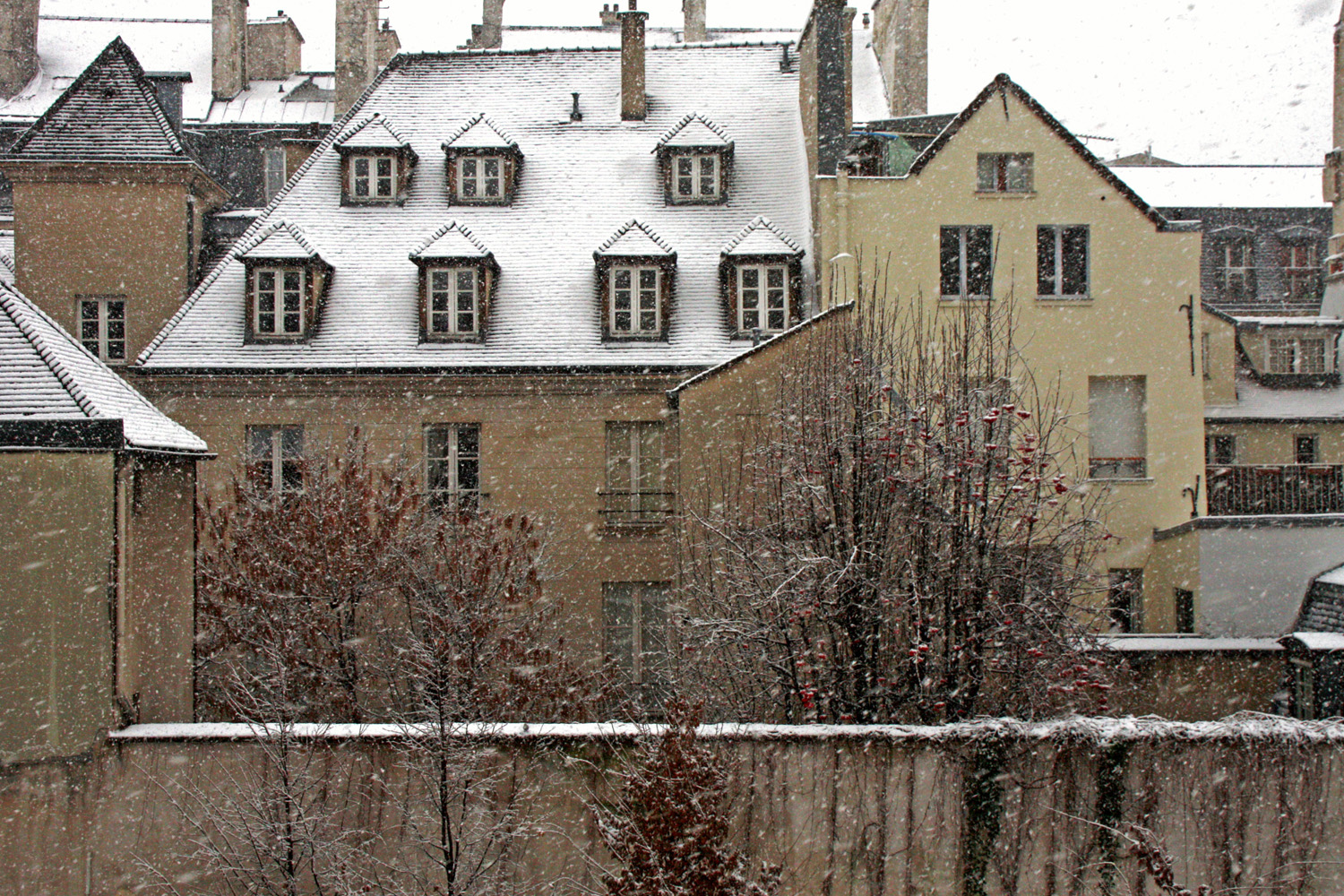 Marais Louise-exterior-B0029351